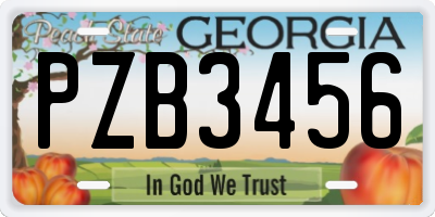 GA license plate PZB3456
