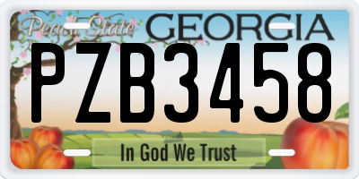 GA license plate PZB3458