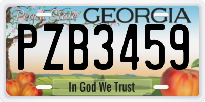 GA license plate PZB3459