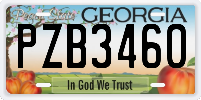 GA license plate PZB3460
