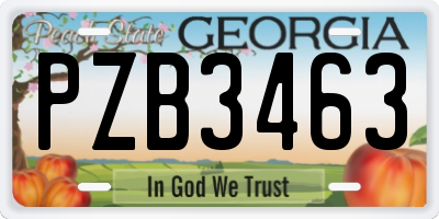GA license plate PZB3463