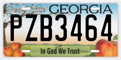 GA license plate PZB3464