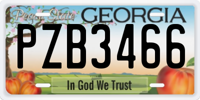 GA license plate PZB3466
