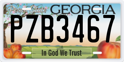 GA license plate PZB3467