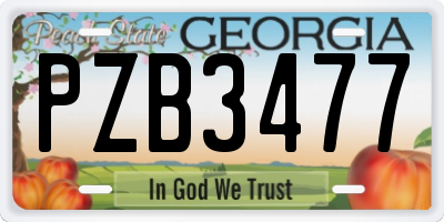 GA license plate PZB3477