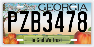GA license plate PZB3478