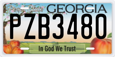 GA license plate PZB3480