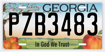 GA license plate PZB3483