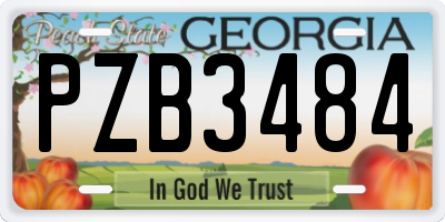 GA license plate PZB3484