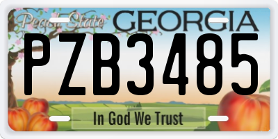 GA license plate PZB3485