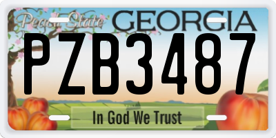 GA license plate PZB3487