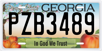 GA license plate PZB3489