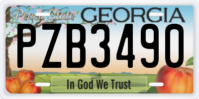 GA license plate PZB3490