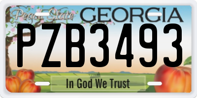 GA license plate PZB3493