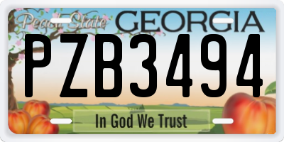 GA license plate PZB3494