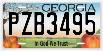 GA license plate PZB3495