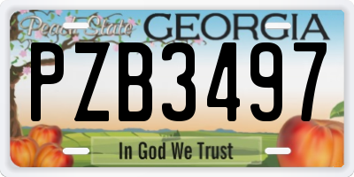 GA license plate PZB3497