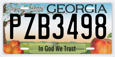 GA license plate PZB3498