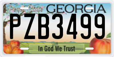GA license plate PZB3499