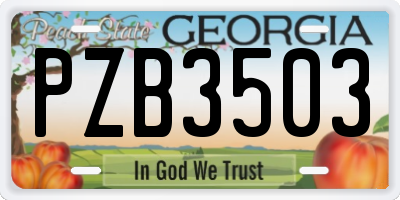 GA license plate PZB3503