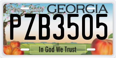 GA license plate PZB3505