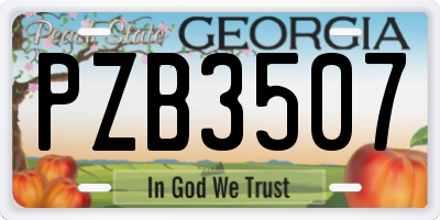 GA license plate PZB3507