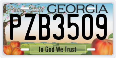 GA license plate PZB3509