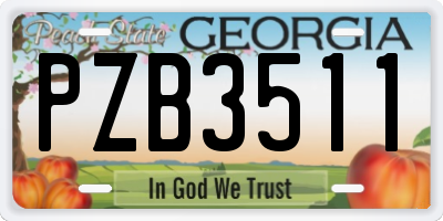 GA license plate PZB3511