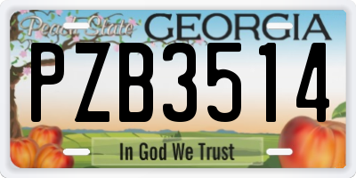 GA license plate PZB3514