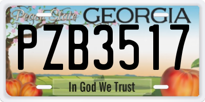 GA license plate PZB3517