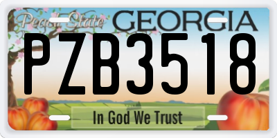 GA license plate PZB3518
