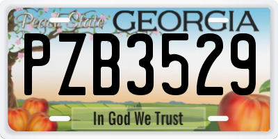 GA license plate PZB3529