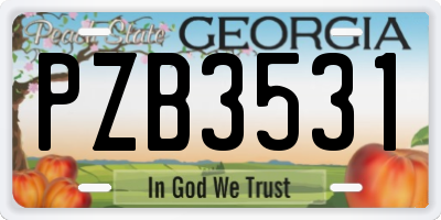 GA license plate PZB3531