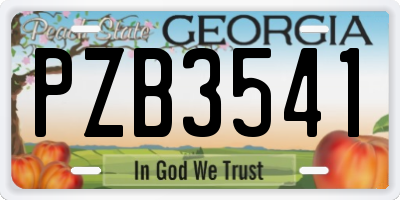 GA license plate PZB3541