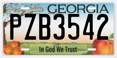 GA license plate PZB3542