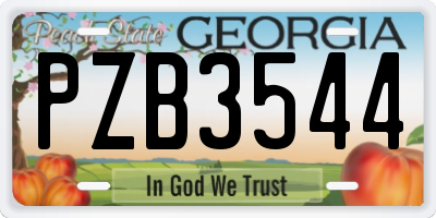 GA license plate PZB3544