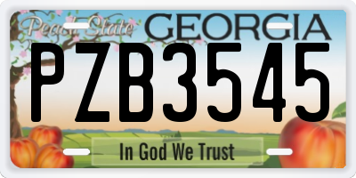 GA license plate PZB3545