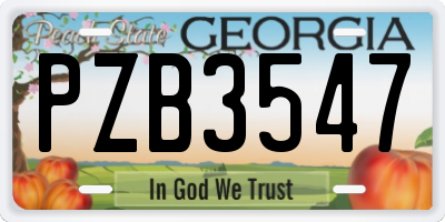 GA license plate PZB3547