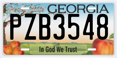 GA license plate PZB3548