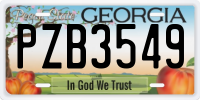 GA license plate PZB3549