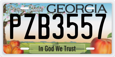 GA license plate PZB3557