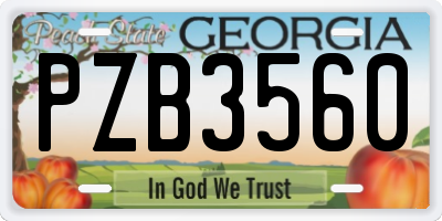 GA license plate PZB3560