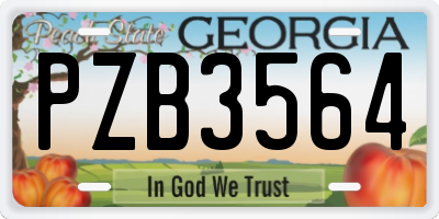 GA license plate PZB3564