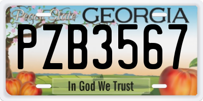 GA license plate PZB3567