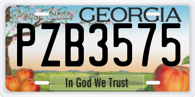 GA license plate PZB3575