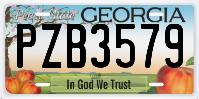GA license plate PZB3579