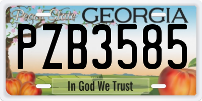 GA license plate PZB3585