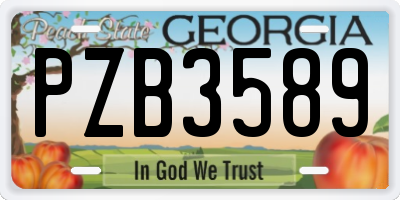 GA license plate PZB3589