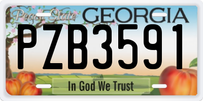 GA license plate PZB3591