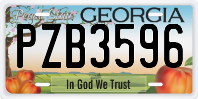 GA license plate PZB3596